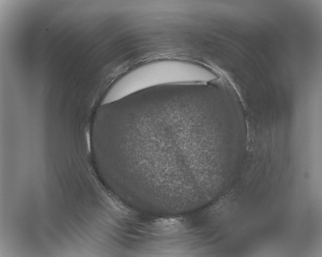 X0000056380061200509161932