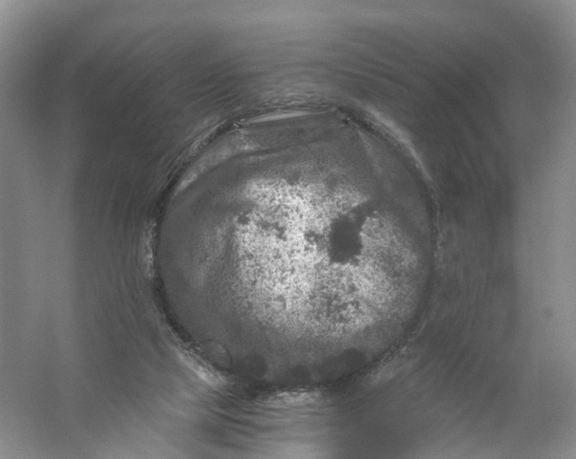 X0000056380065200509161932