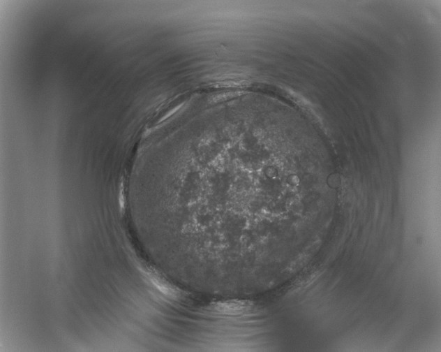 X0000056380069200509161932