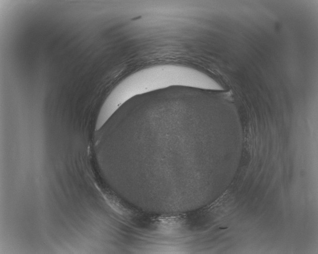 X0000056380070200509161932