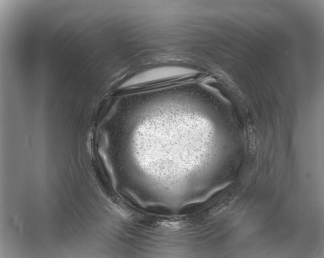 X0000056380071200509161932