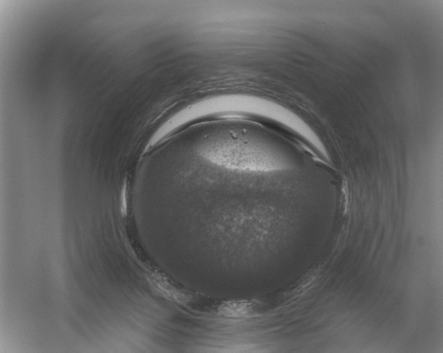 X0000056380076200509161932