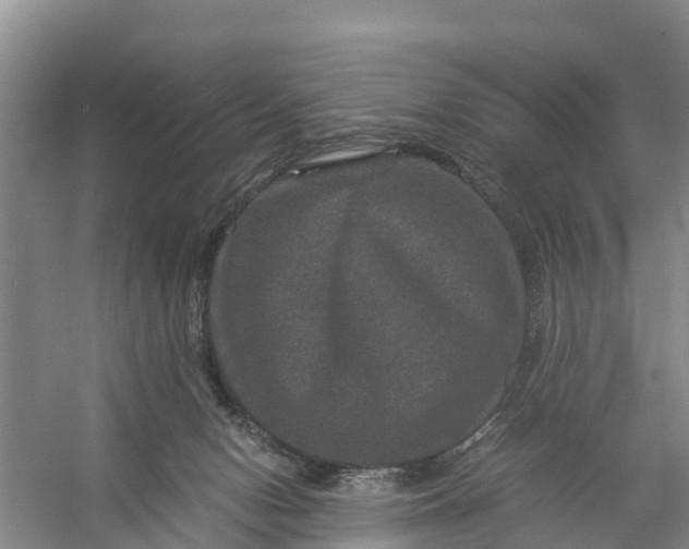 X0000056380078200509161932