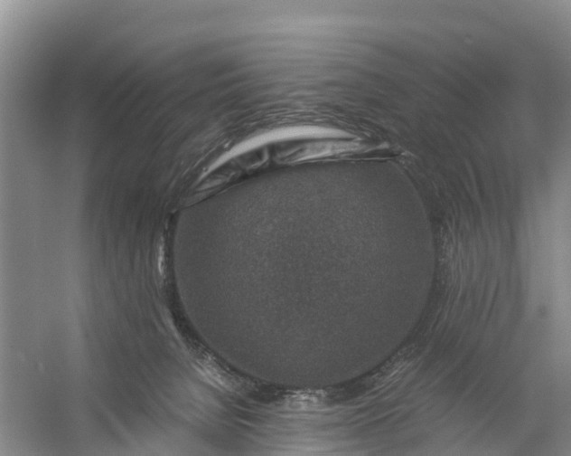 X0000056380080200509161932