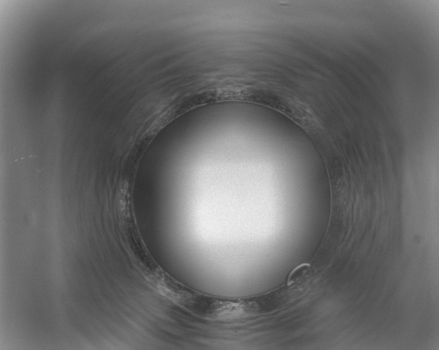 X0000056380083200509161932