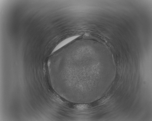 X0000056380085200509161932