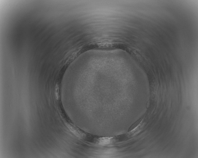 X0000056380090200509161932