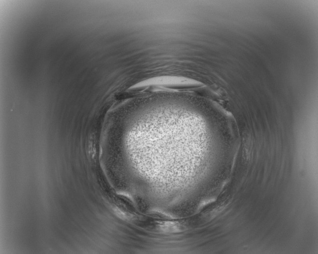 X0000056380091200509161932