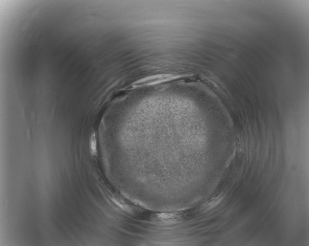 X0000056380095200509161933