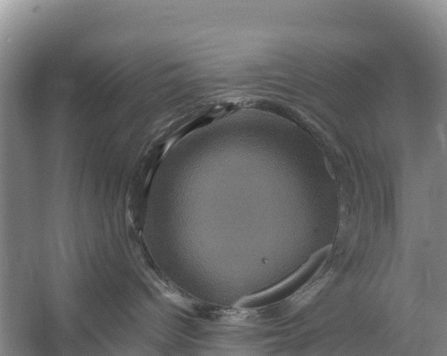 X0000056380096200509161933