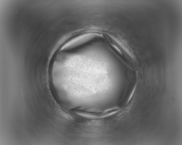 X0000056380102200509161932