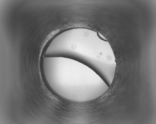 X0000056380104200509161932