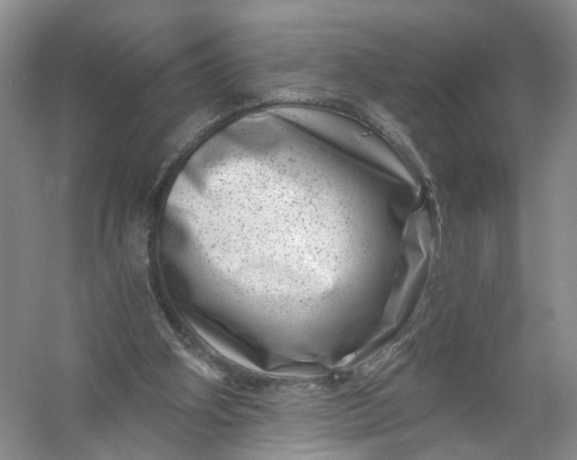 X0000056380106200509161932