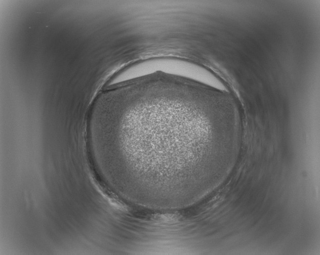 X0000056380107200509161932