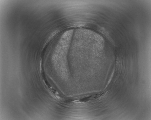 X0000056380110200509161932