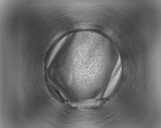 X0000056380111200509161931