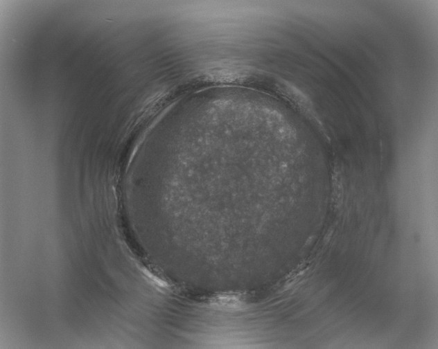 X0000056380114200509161931