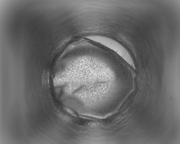 X0000056380115200509161931