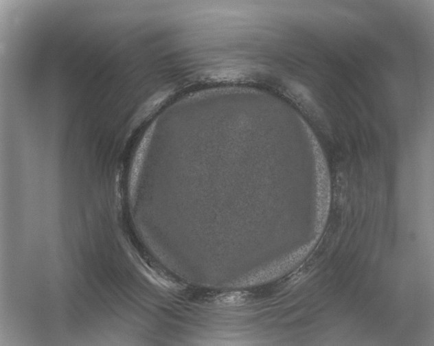 X0000056380116200509161931