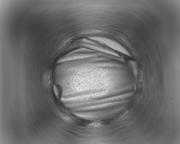 X0000056380119200509161931