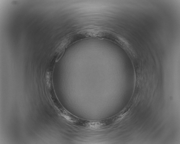 X0000056380121200509161931