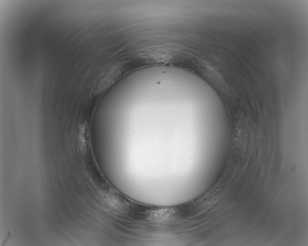 X0000056380122200509161931