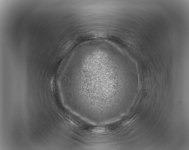 X0000056380123200509161931