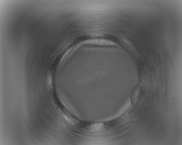 X0000056380124200509161931