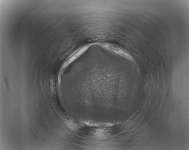 X0000056380130200509161931