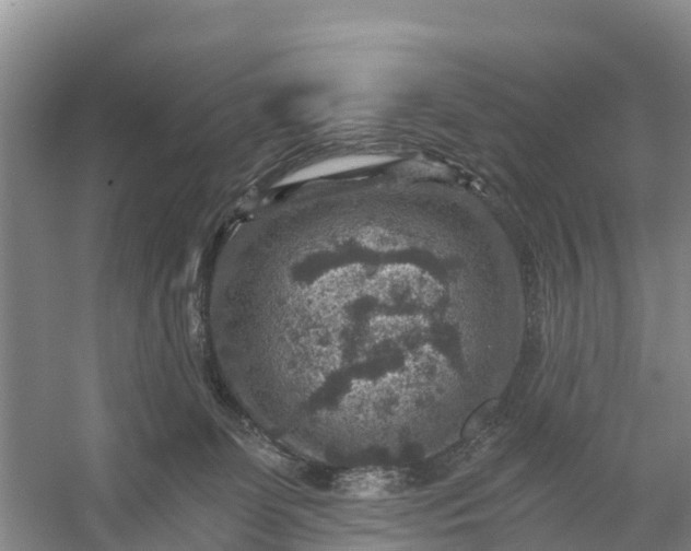 X0000056380131200509161931