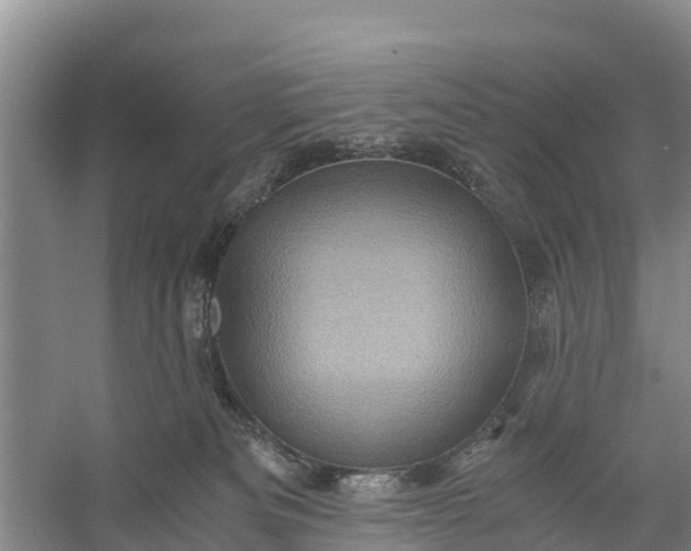 X0000056380133200509161931