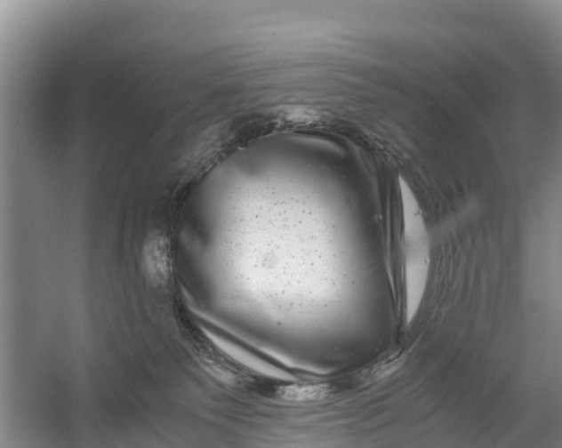 X0000056380135200509161931