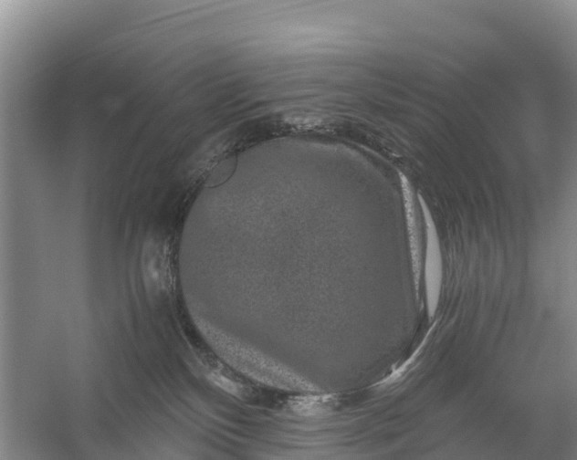 X0000056380136200509161931