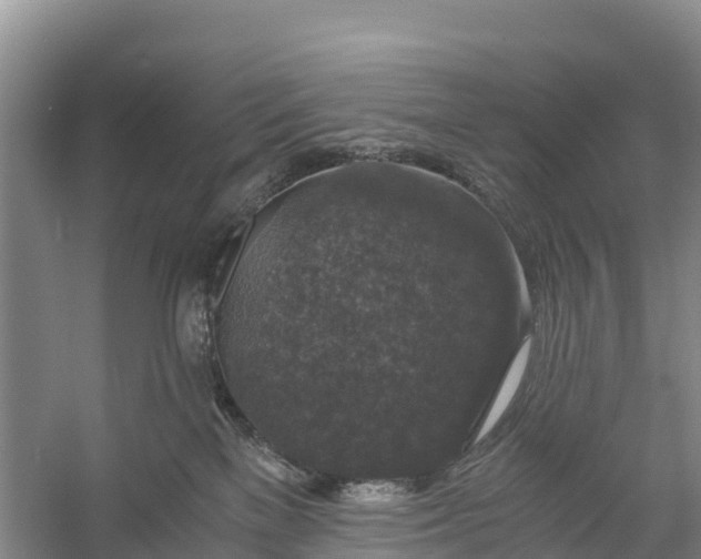 X0000056380137200509161931