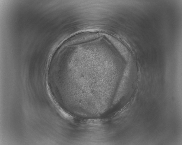 X0000056380145200509161930