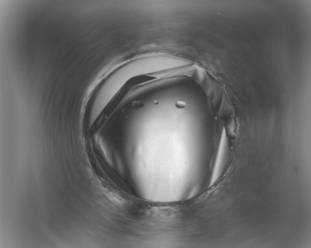 X0000056380150200509161930