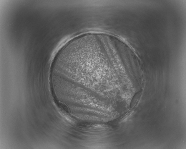 X0000056380151200509161930