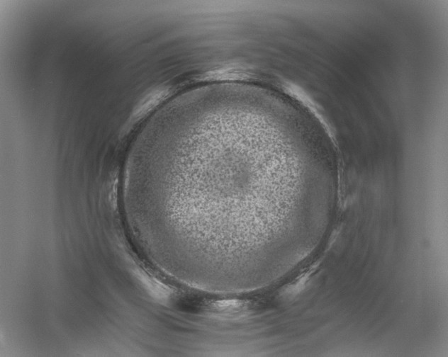 X0000056380153200509161930