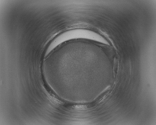 X0000056380154200509161930