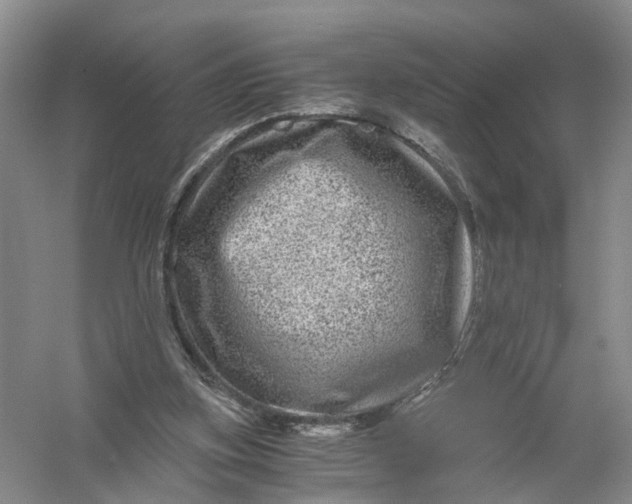 X0000056380155200509161930