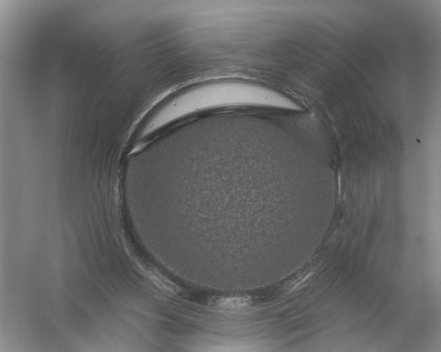 X0000056380156200509161930