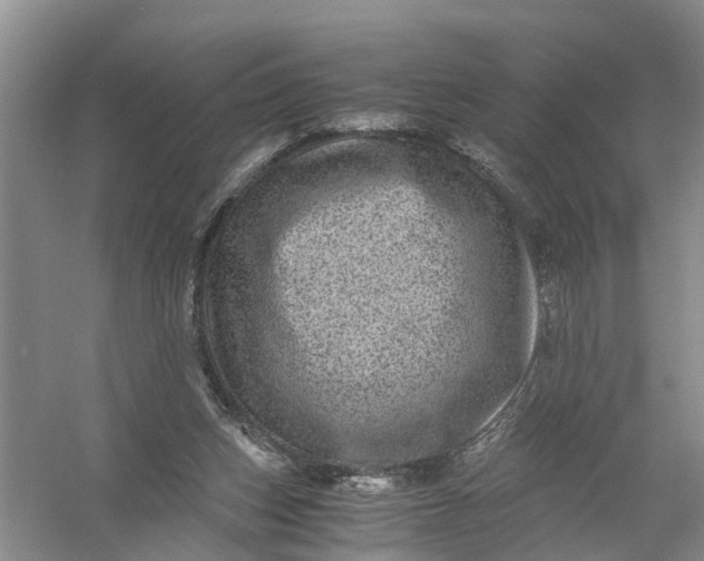 X0000056380159200509161930