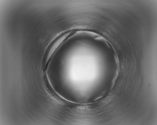 X0000056380160200509161930