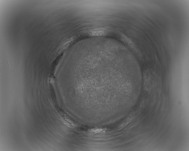 X0000056380161200509161930