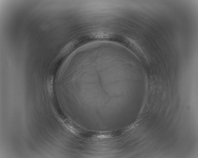 X0000056380163200509161930