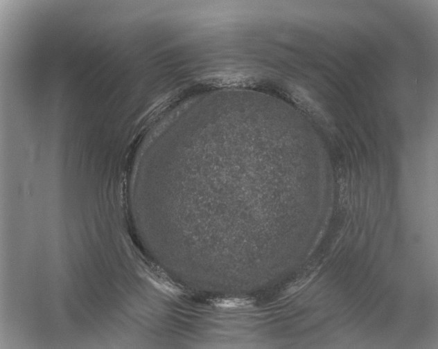 X0000056380165200509161930