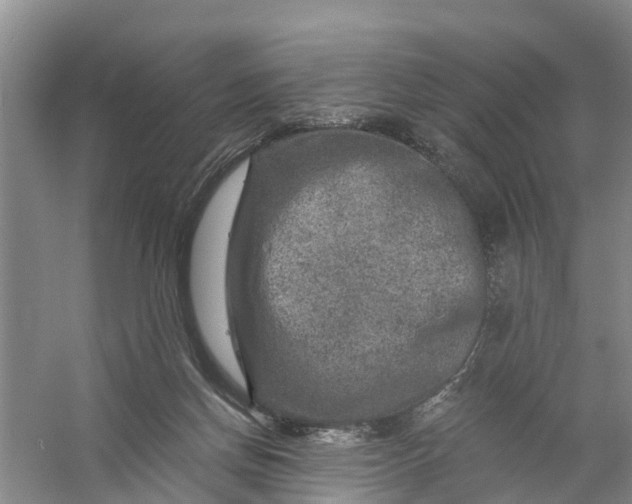 X0000056380166200509161930