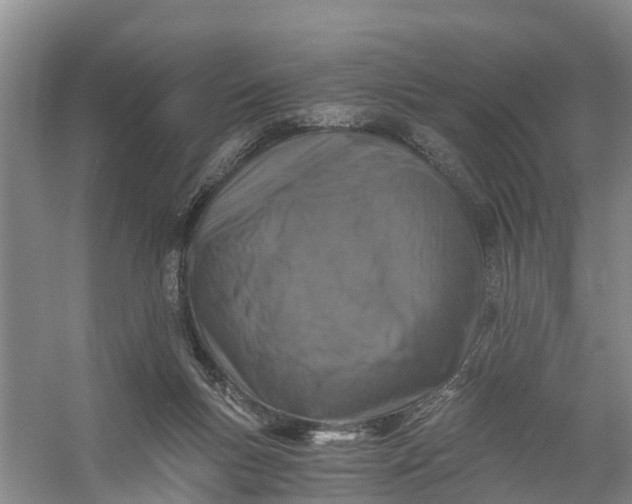 X0000056380167200509161930