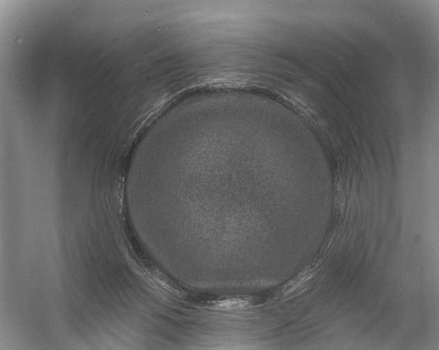 X0000056380168200509161931