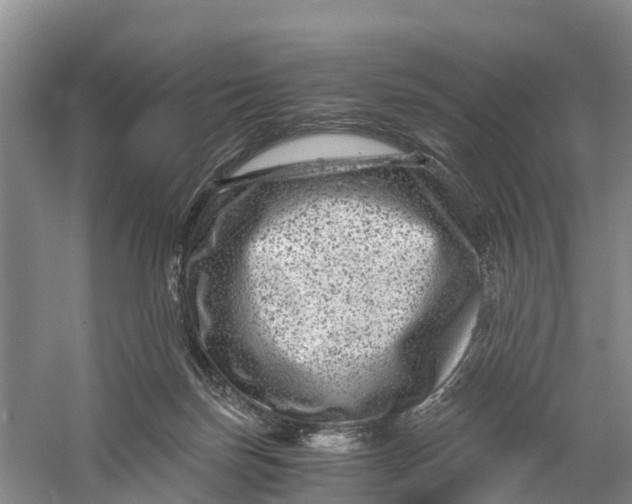 X0000056380171200509161931